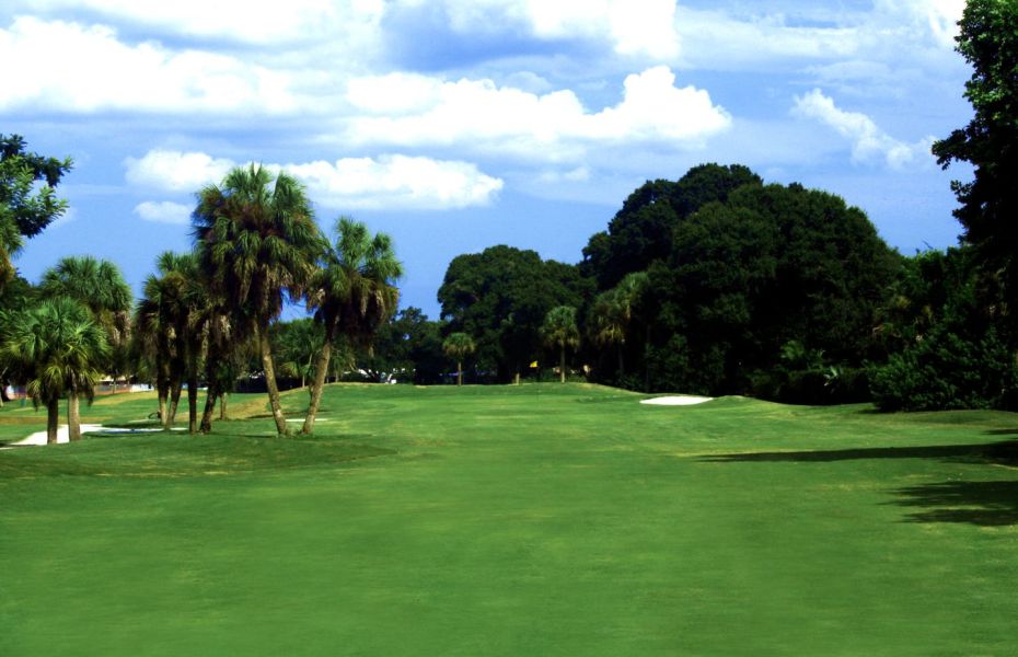 The Palms Golf Club at Forest Lakes Logo