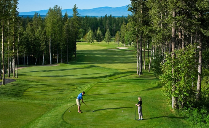 Meadow Lake Golf Course Logo
