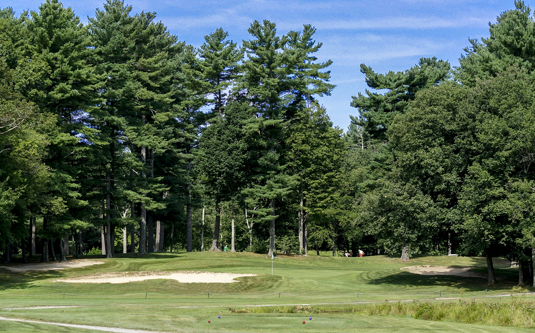 Pine Oaks Golf Course Logo