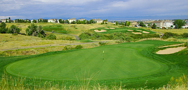 Black Bear Golf Club Logo