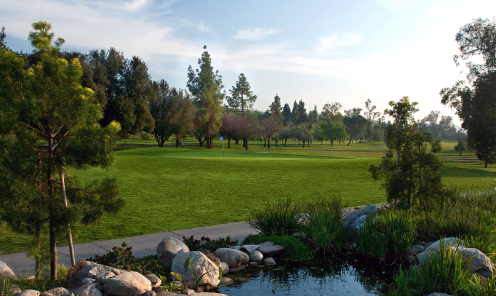 Lion Golf Academy at Diamond Bar Golf Course Logo