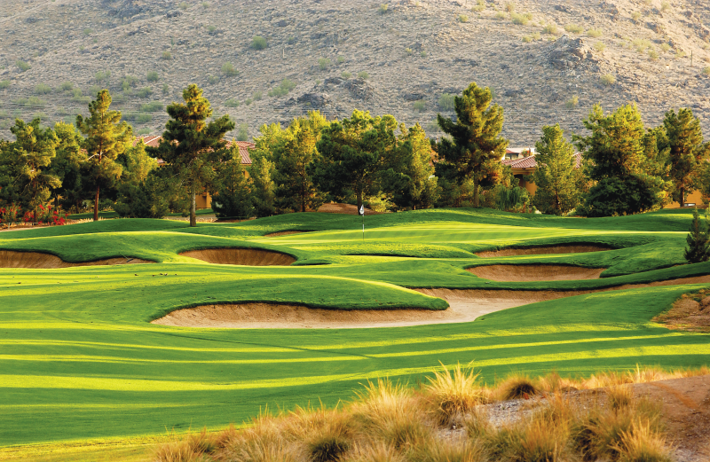 Tour Striker Golf Academy at Raven Golf ClubLogo